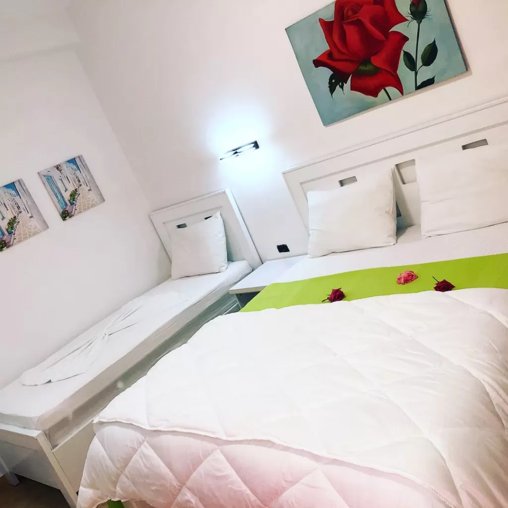 Envi 14 - STD TRPL 3.jpg